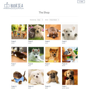 Screenshot of a product gallery on Cratejoy