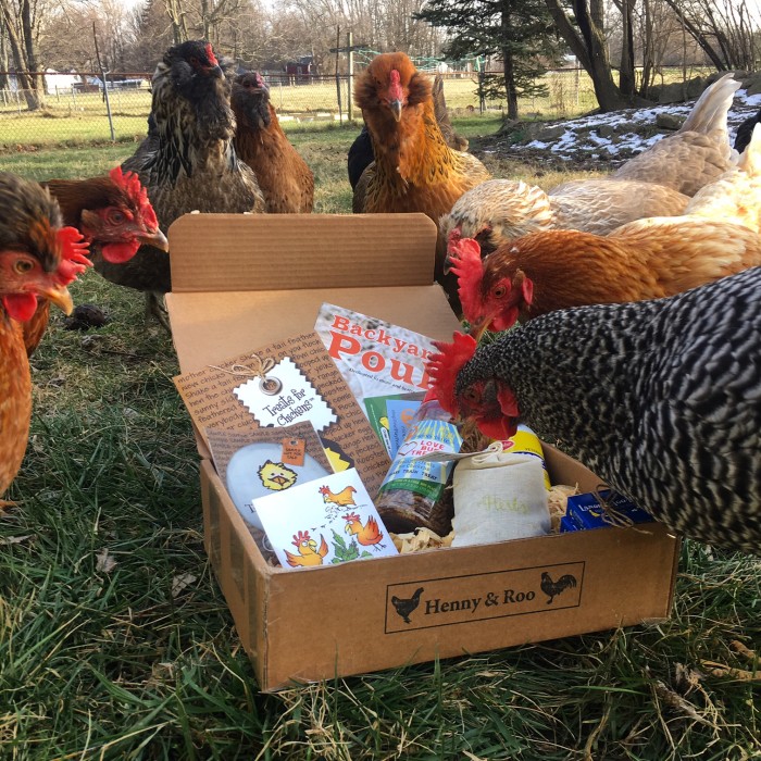 chickens enjoying their henny and roo box